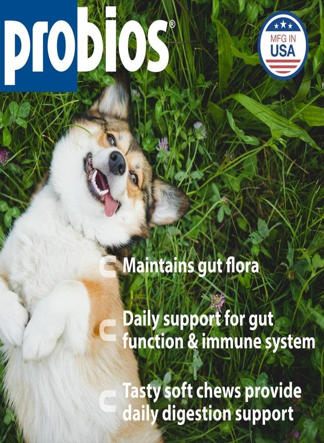 Probios for Dogs Soft Chews, Probiotics for Dogs, Daily Supplement for Gut Health, Digestion & Immune Support, Small Breeds, 4.23oz (Pack of 2) - Image 2